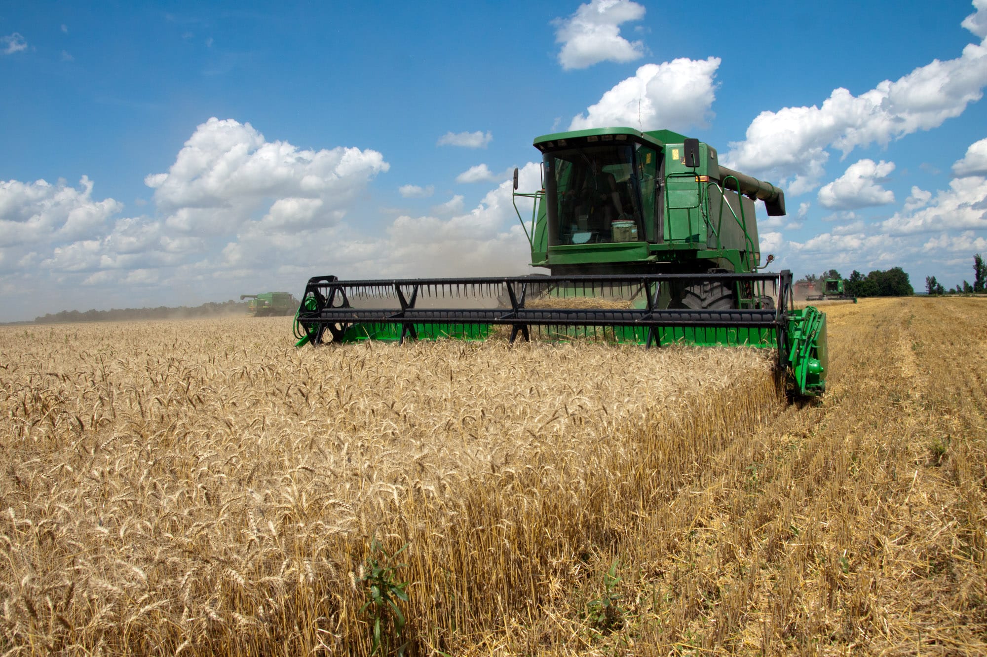 Combine harvester cutting wheat in golden field