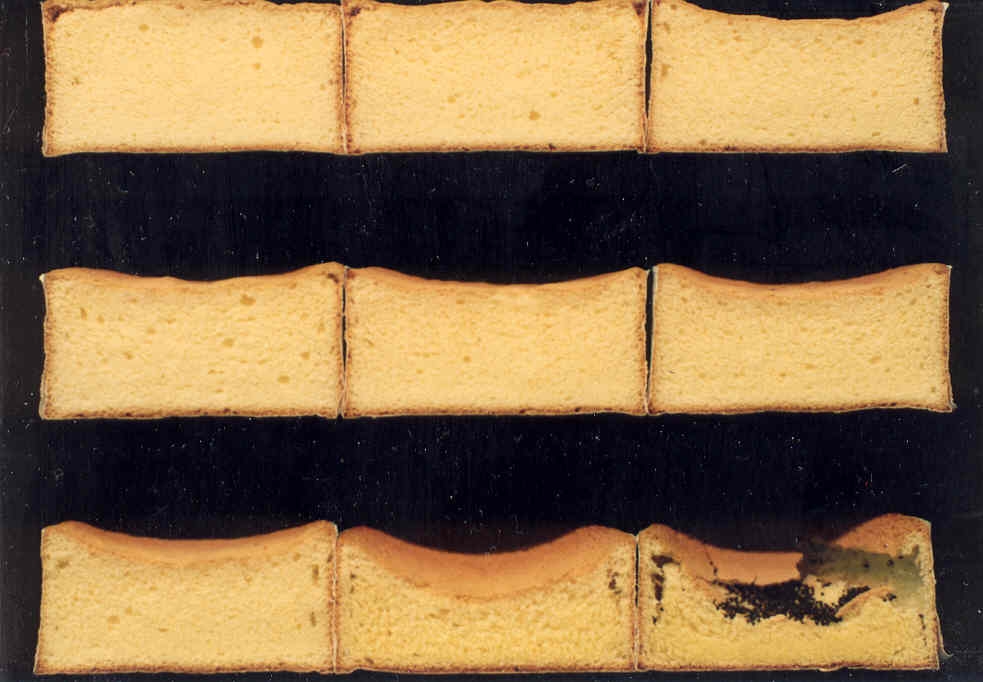 Sponge cake photo courtesy of Craig Morris in the Western Wheat Quality Lab.