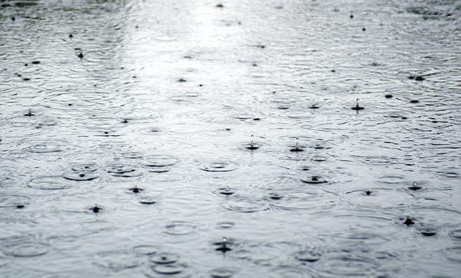 puddle
