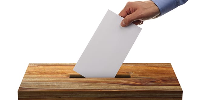 voting