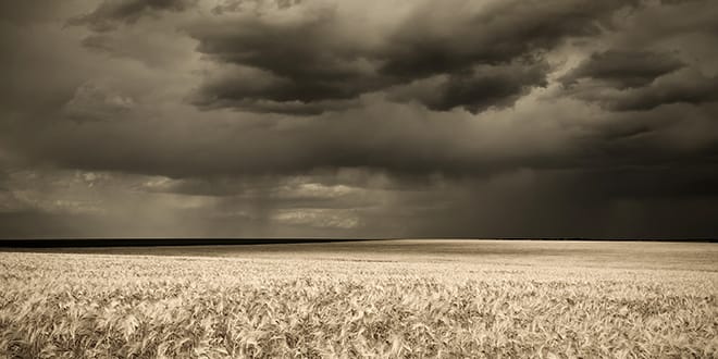wheat-field-storm