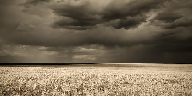 wheat-field-storm