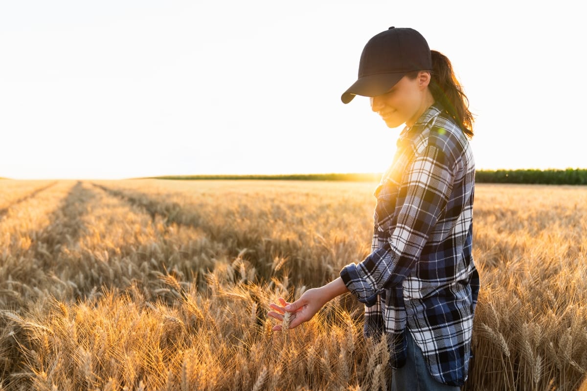 Woman holding wheat in sunset field