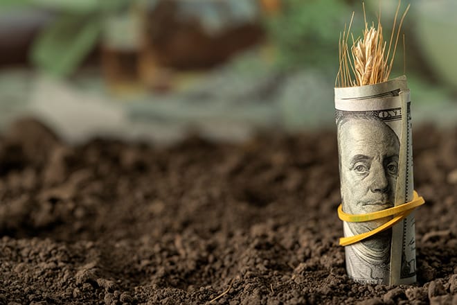 money-dirt-wheat